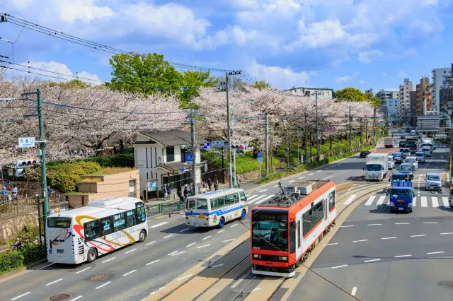 A One-Day Tokyo Shitamachi Walking Tour Using the Toden Arakawa Line One-Day Pass
