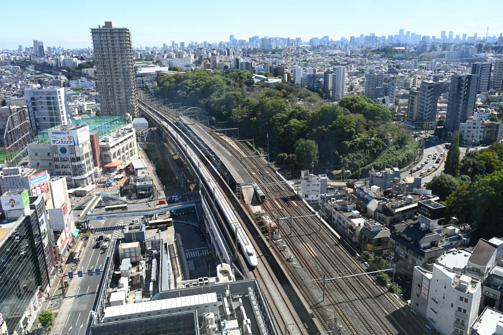 奥の森に覆われた山が飛鳥山公園。公園からも行きかう列車が見られる