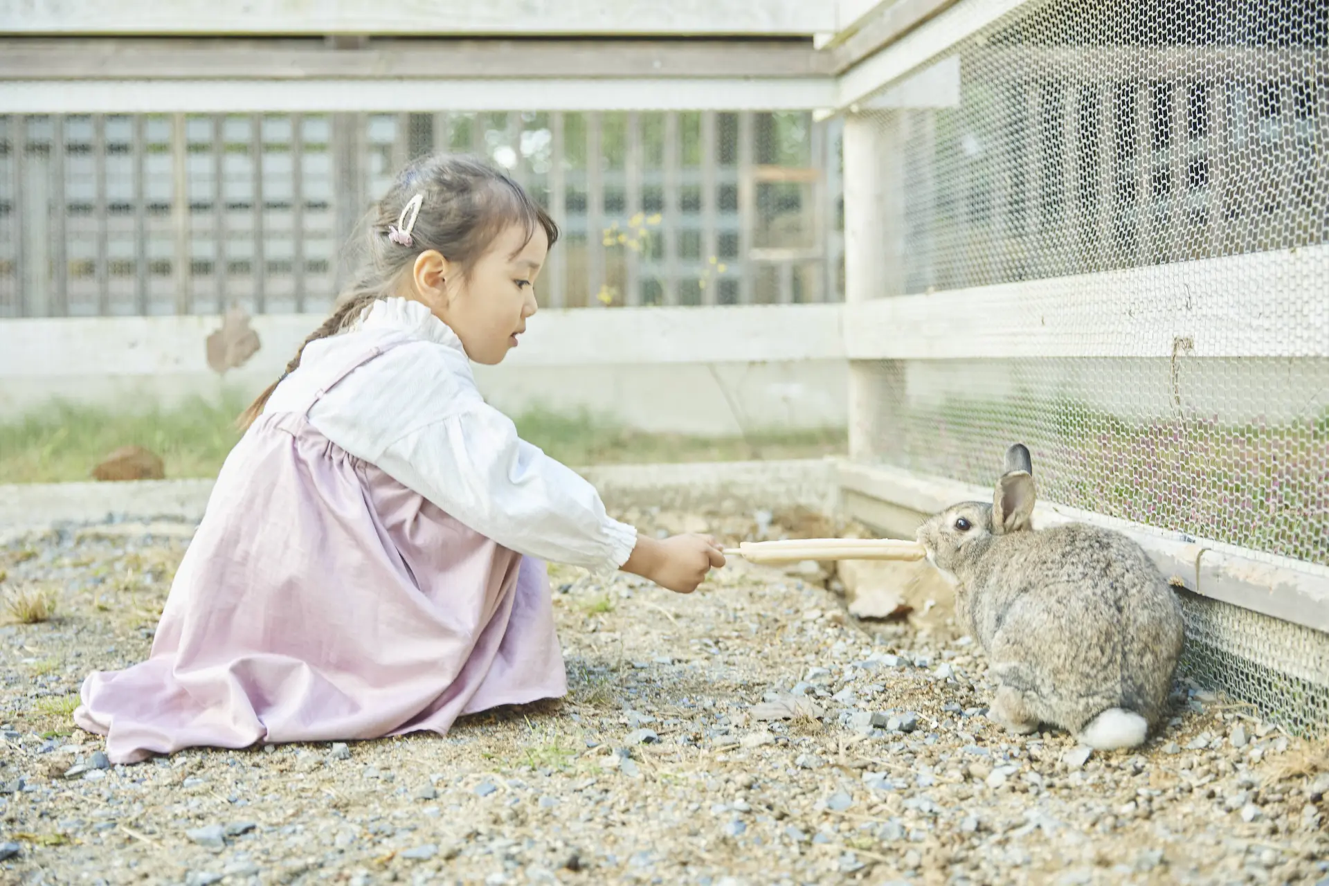小動物とのふれあい体験は、子どもたちのいい思い出に