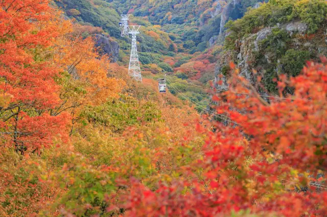 【2026年版】四国の紅葉名所12選！渓谷・名園の絶景と見頃情報