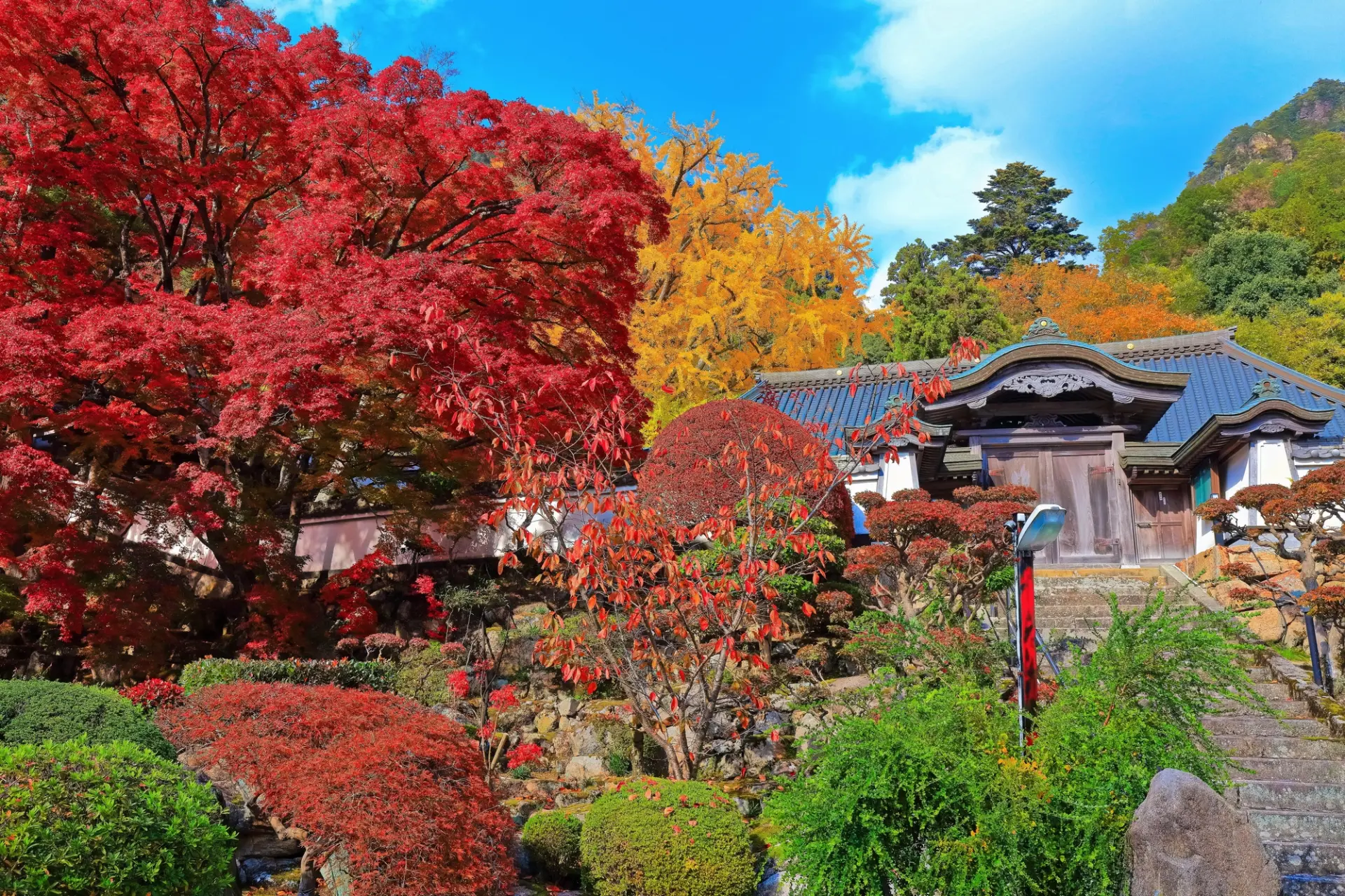 色づく木々と歴史ある伽藍が生み出す大窪寺の秋景色