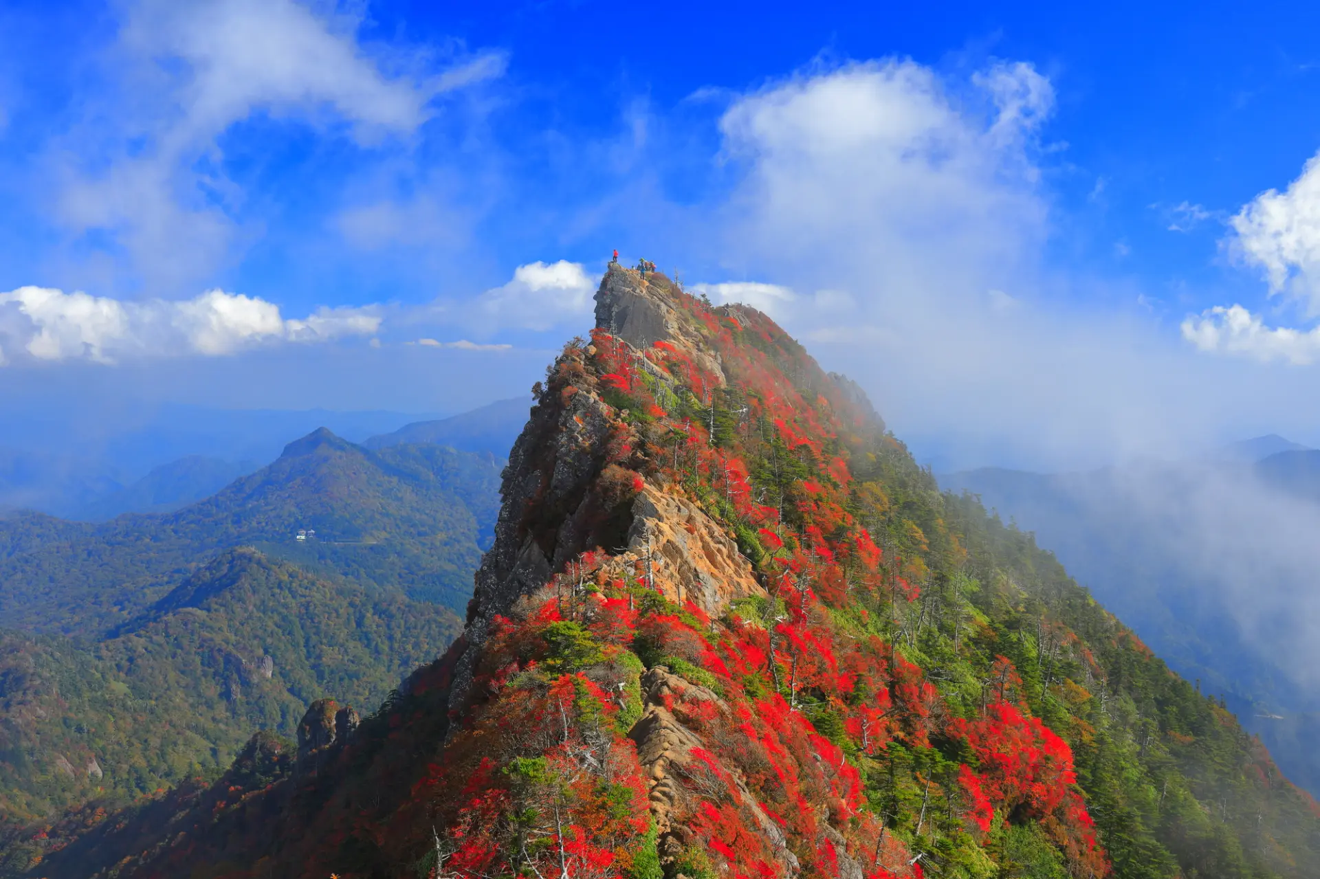 紅葉の山肌を霧が覆う、石鎚山の幻想的な秋