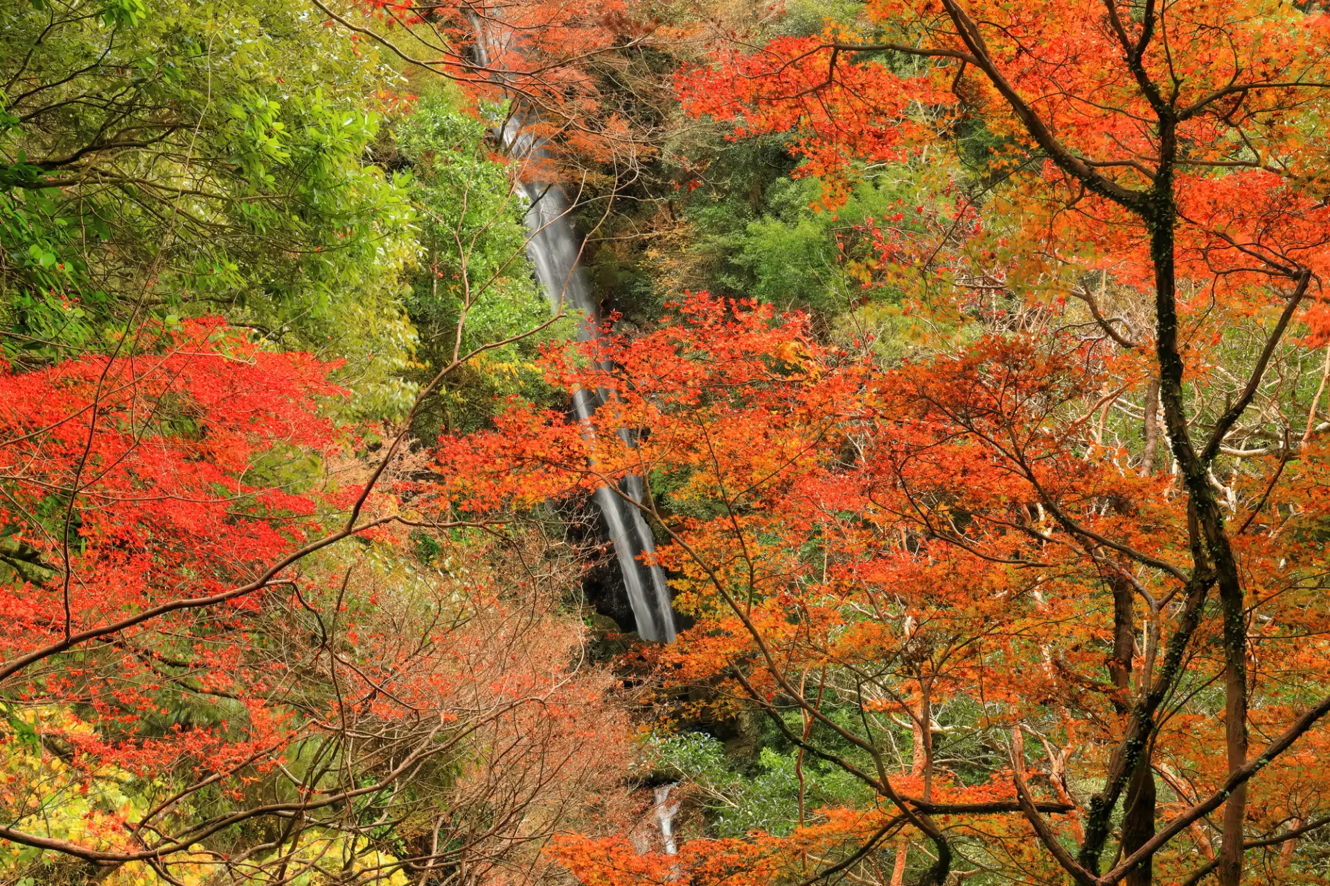 詩人・野口雨情も絶賛した、白滝公園の紅葉と滝