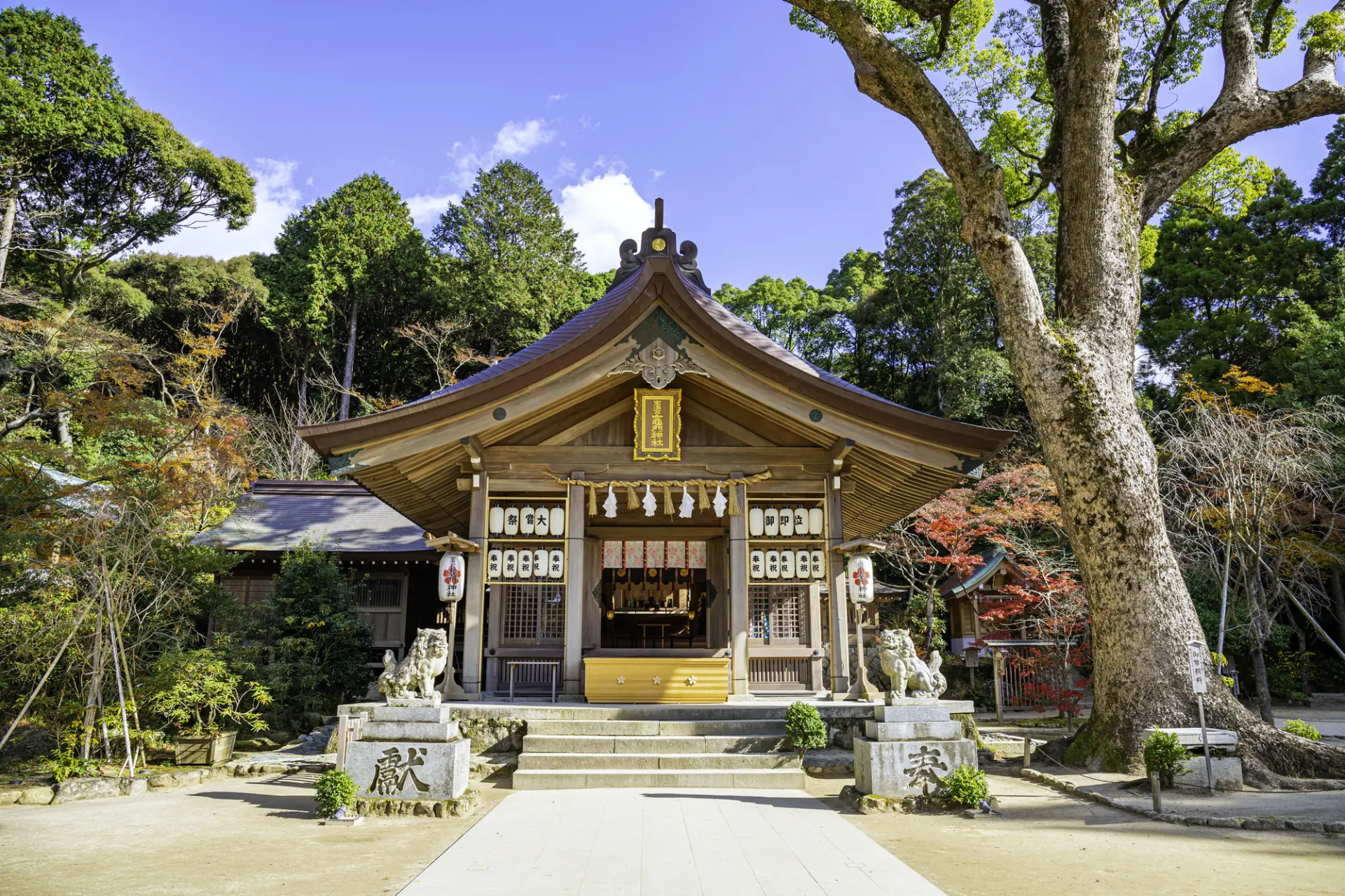宝満山の麓、豊かな緑に包まれて鎮座する御本殿・拝殿