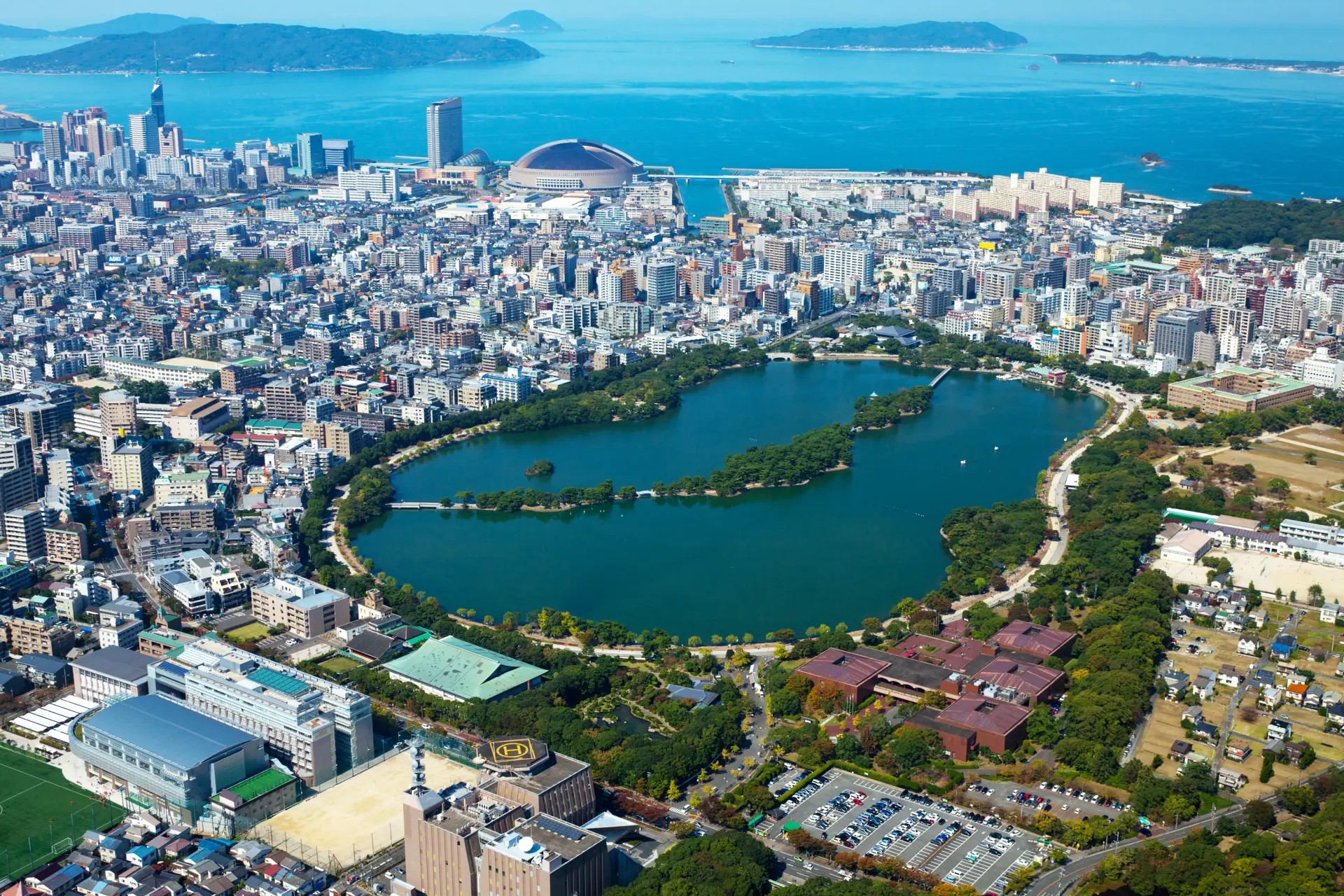 都心にありながら、大きな池と豊かな緑が広がるスケール感も魅力