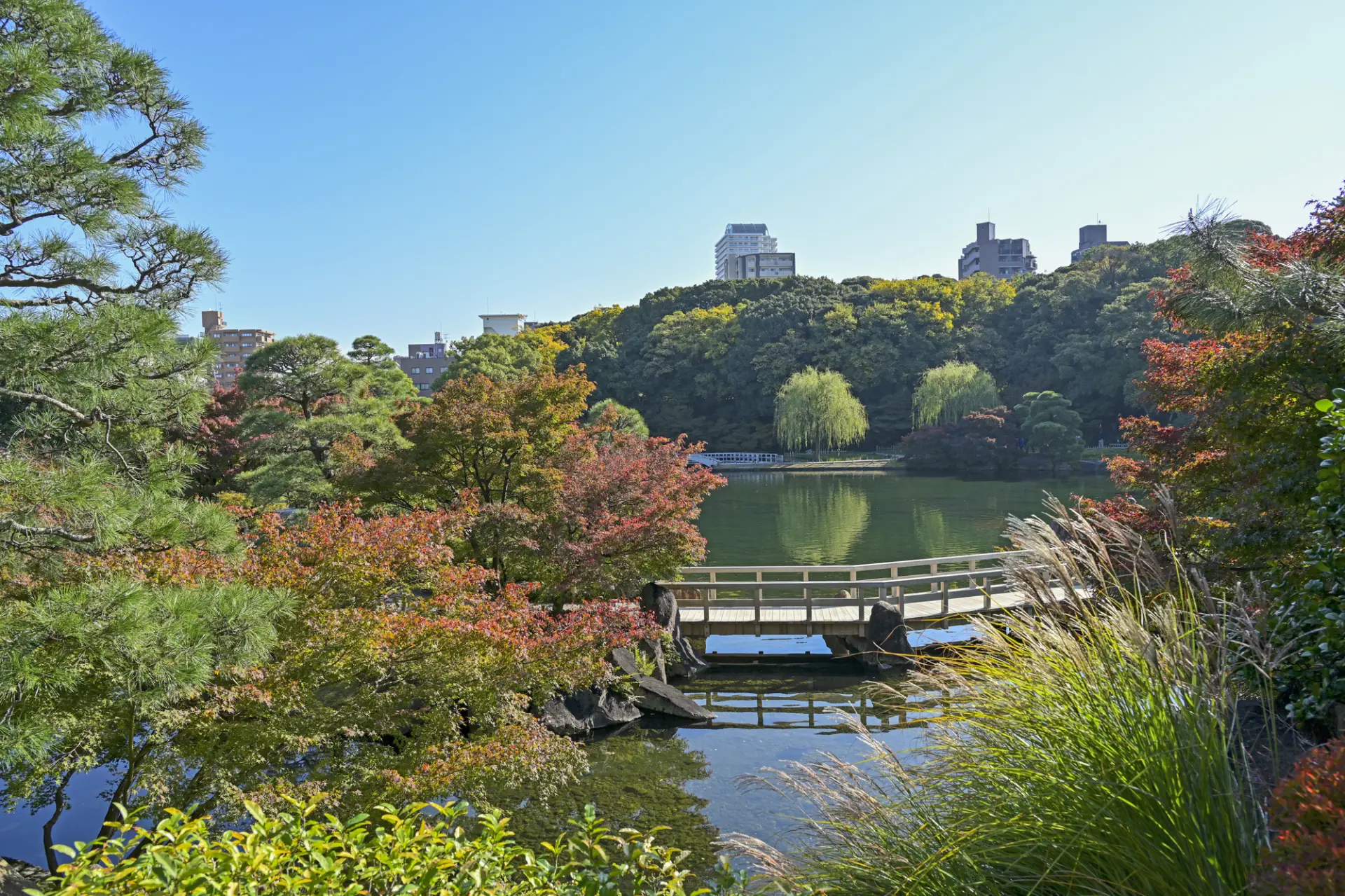龍仙湖を中心に、緑豊かな景観が広がる徳川園