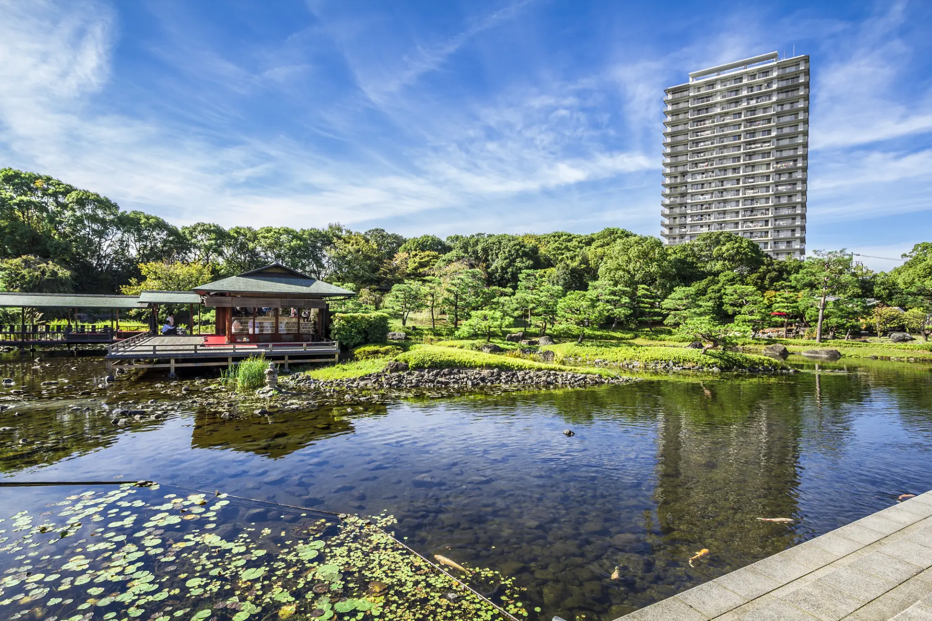 池泉を中心に、数寄屋建築と豊かな緑が調和する回遊式庭園の風景