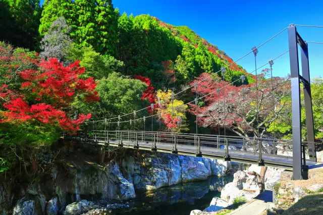 야바케이 관광 추천 명소 7선! 절경·단풍·추천 코스 소개