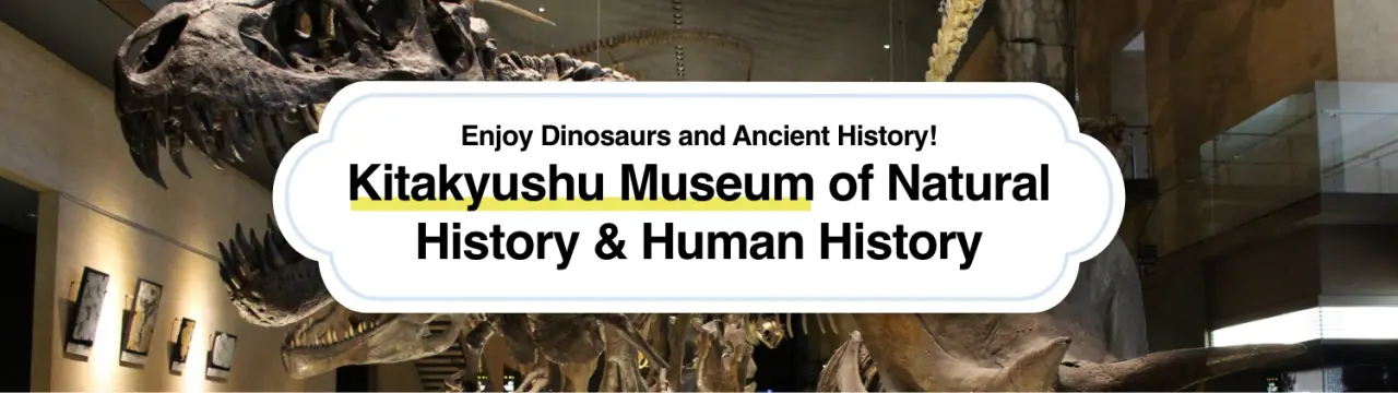 Definitive Guide to the Kitakyushu Museum of Natural History & Human History in Fukuoka: Enjoy Dinosaurs and Ancient History!