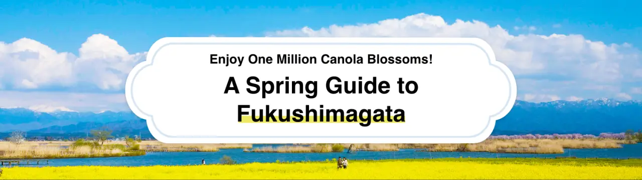 Enjoy One Million Canola Blossoms! A Spring Guide to Fukushimagata