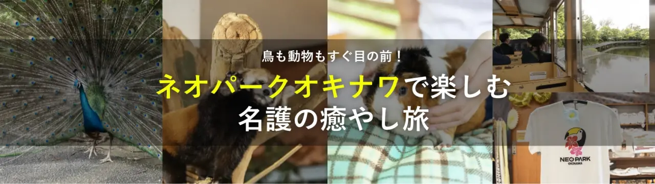鳥も動物もすぐ目の前！「ネオパークオキナワ」で楽しむ名護の癒やし旅