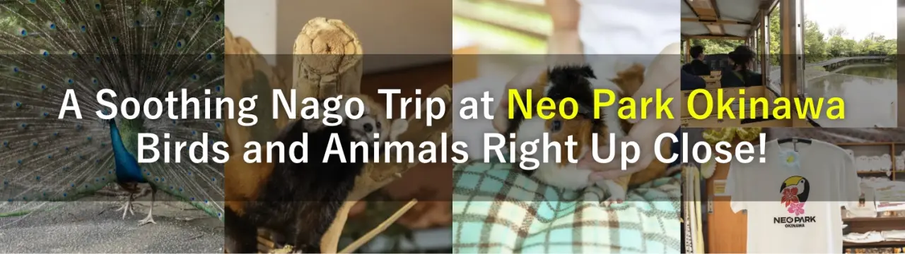 A Soothing Nago Trip at Neo Park Okinawa: Birds and Animals Right Up Close!