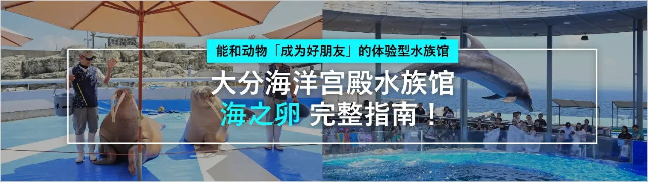 「大分海洋宫殿水族馆 海之卵」完整指南！能和动物「成为好朋友」的体验型水族馆