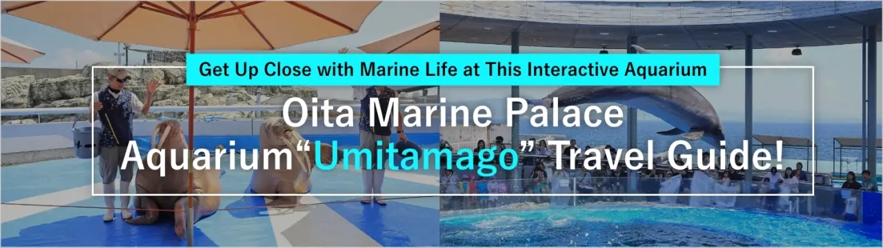 Oita Marine Palace Aquarium “Umitamago” Travel Guide! Get Up Close with Marine Life at This Interactive Aquarium