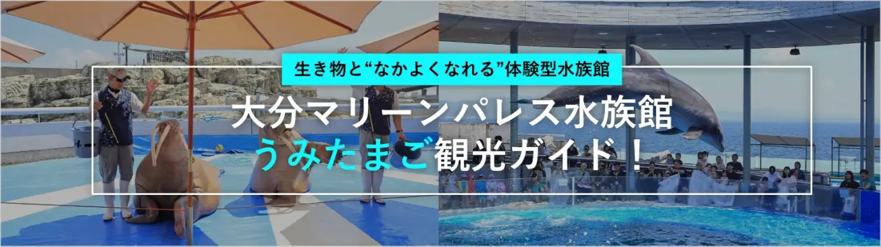 『大分マリーンパレス水族館 「うみたまご」』観光ガイド！生き物と“なかよくなれる”体験型水族館
