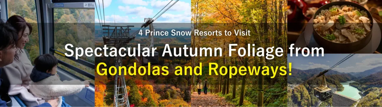Spectacular Autumn Foliage from Gondolas and Ropeways! 4 Prince Snow Resorts to Visit