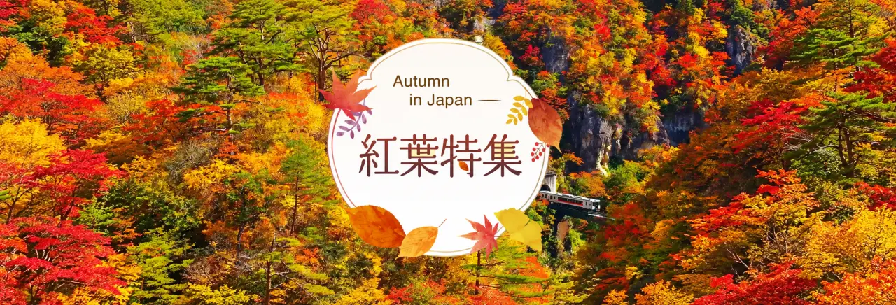 紅葉特集