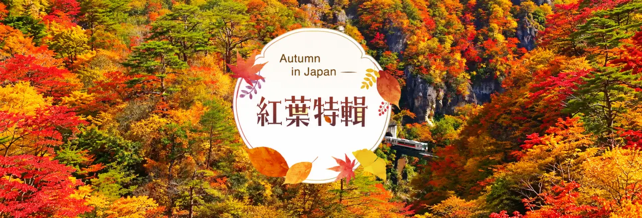 日本紅葉特輯