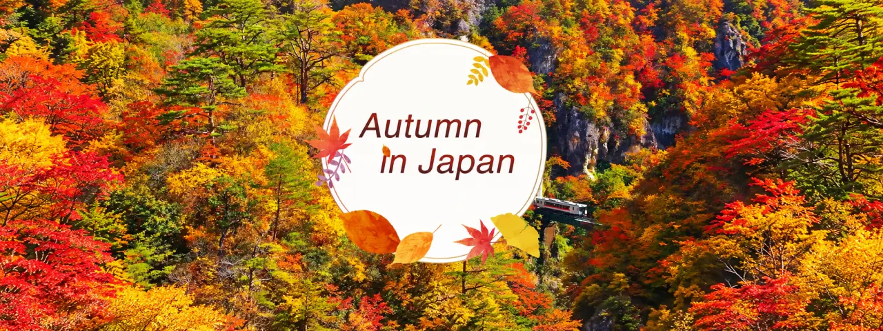 Japan’s Spectacular Fall Colors