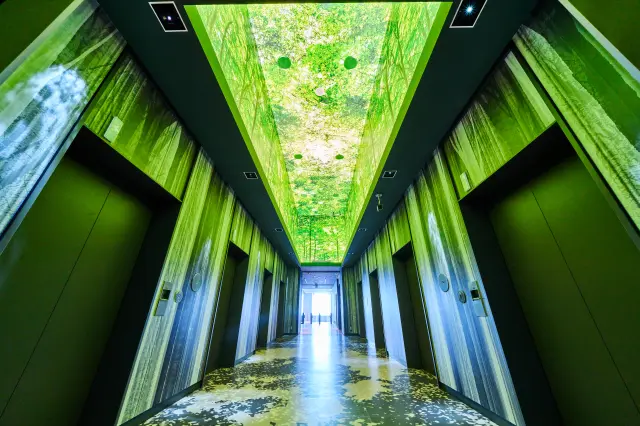 The elevator hall evokes a sun-dappled park surrounded by trees
