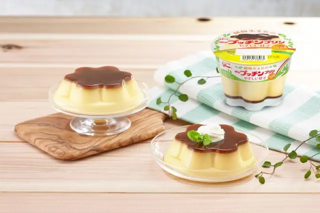 Vegan Plant-based Pucchin Pudding