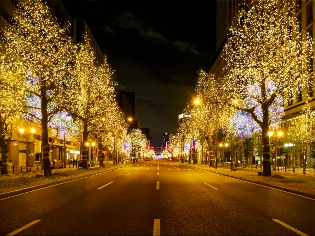 The section from Fushimimachi to Sembachuo 3 shines in an elegant champagne gold
(Past highlights)
ⒸFestival of the Lights in Osaka Executive Committee
