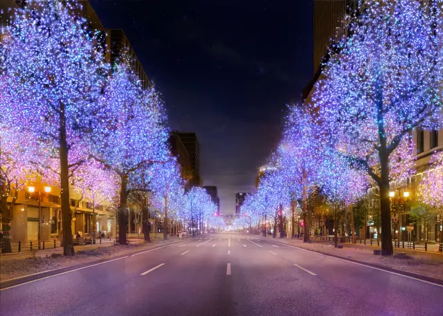 De Fushimimachi à Semba Chuo 3, paré d’une élégante lumière couleur champagne. Photo non contractuelle (© Comité exécutif du Festival des lumières d’Osaka)