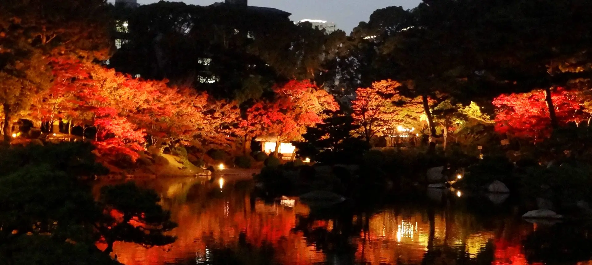 縮 景 園