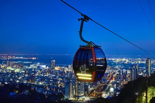 從纜車上看到的夜景