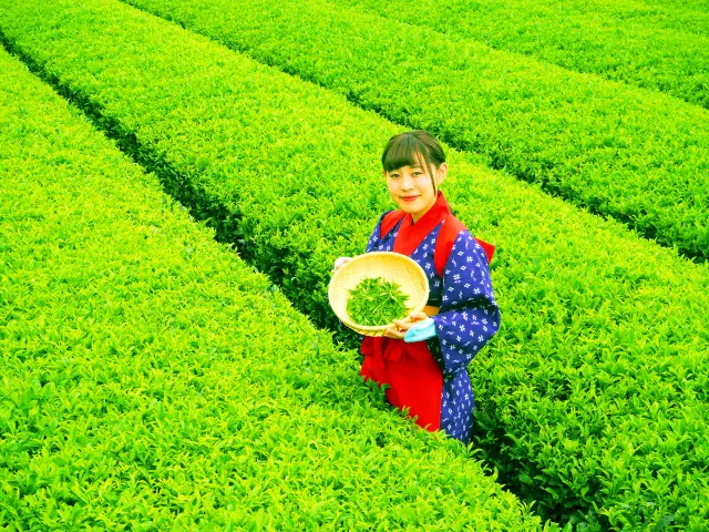 Miyanoen