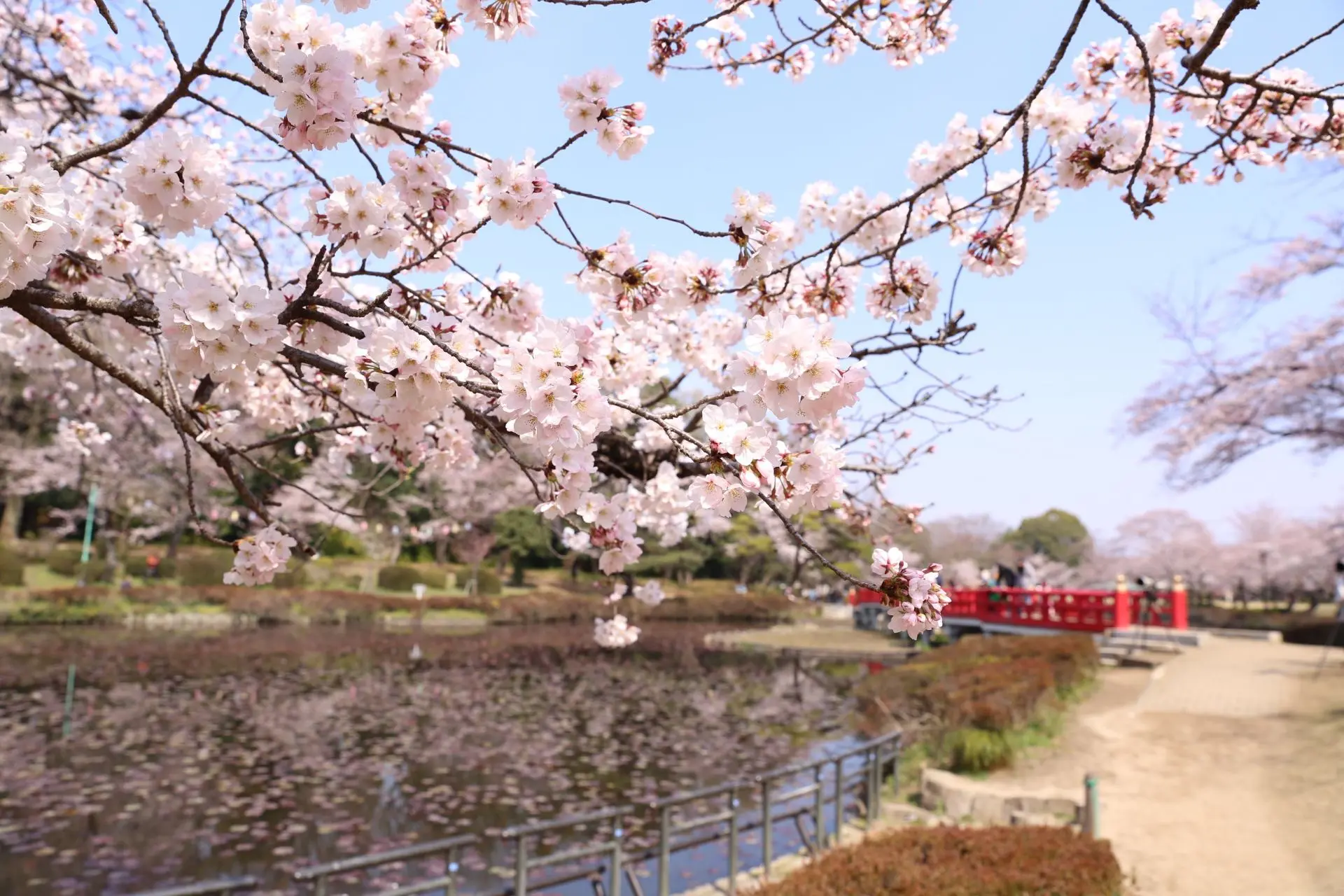岩槻 城址 公園