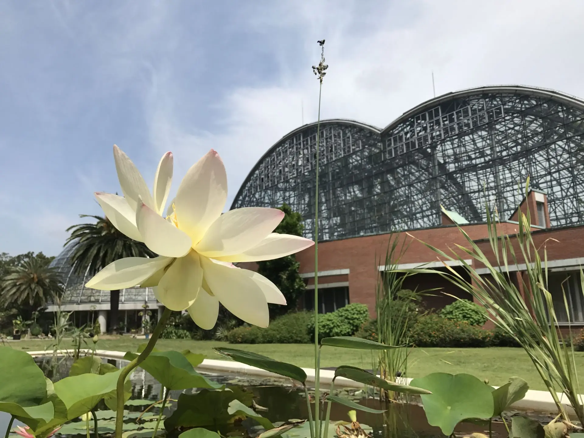 yumenoshima tropical greenhouse dome