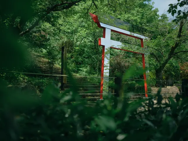 曽我浅间神社内的拍照景点「镜之鸟居」
