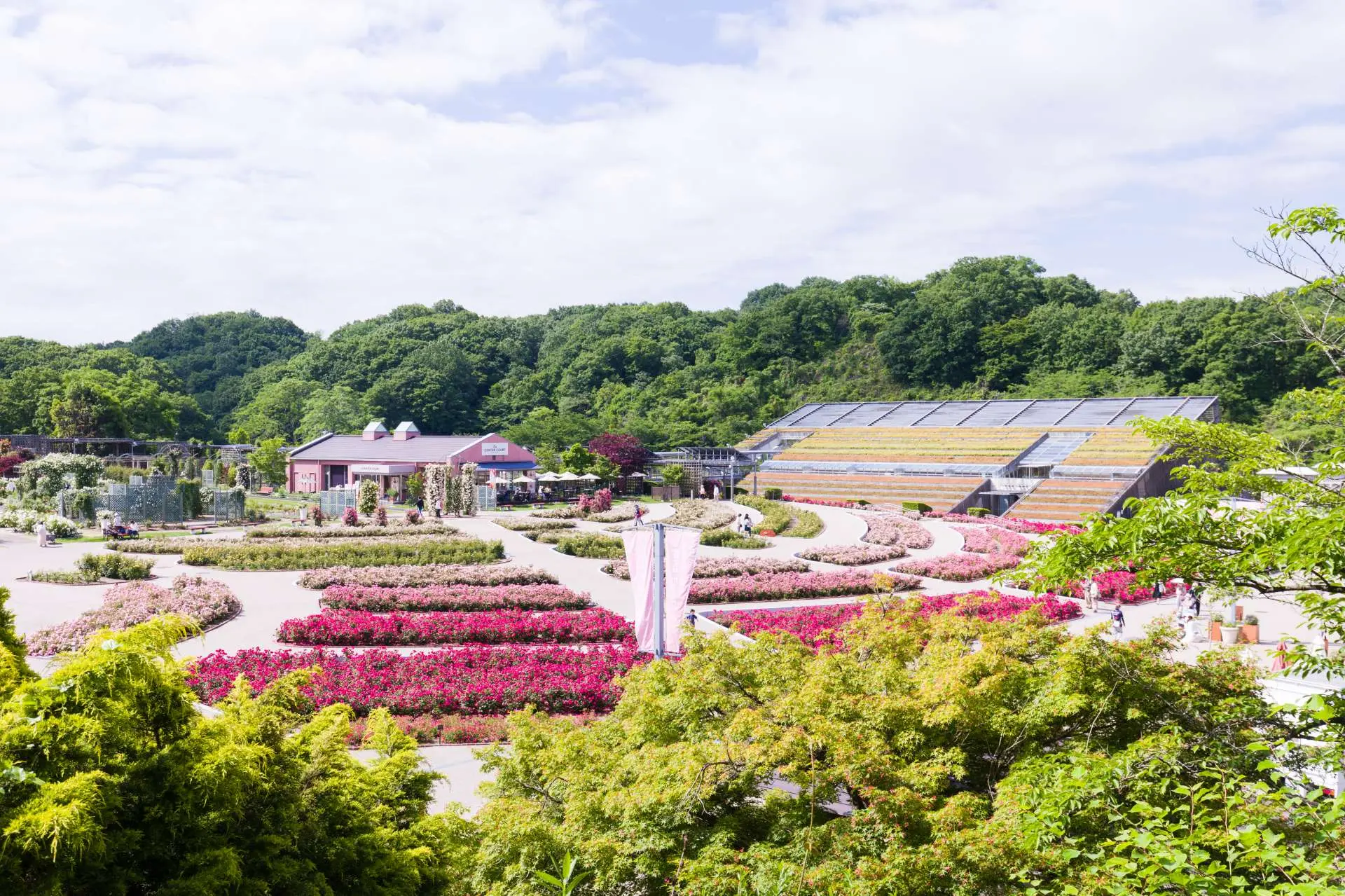 ぎふワールド・ローズガーデン (花フェスタ記念公園) - 見どころ、アクセス & 周辺情報 | GOOD LUCK TRIP