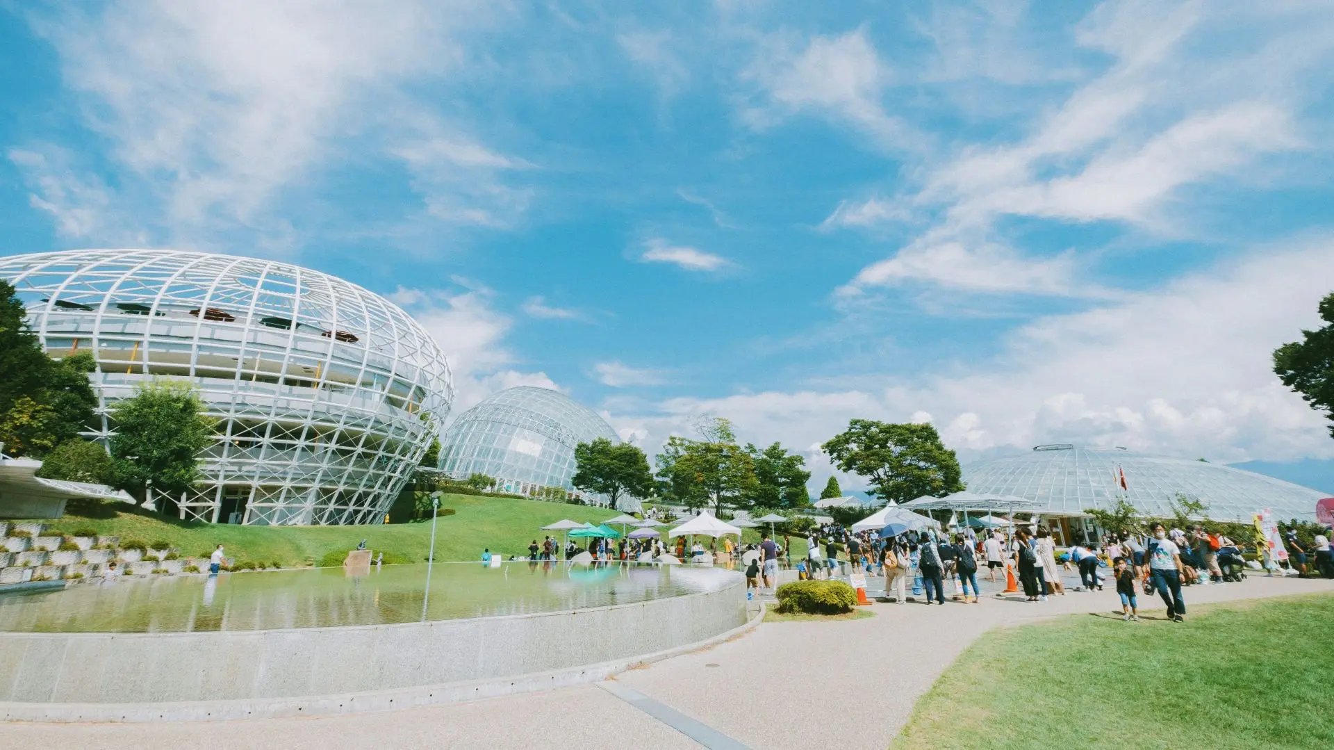 山梨 県 笛吹 川 フルーツ 公園