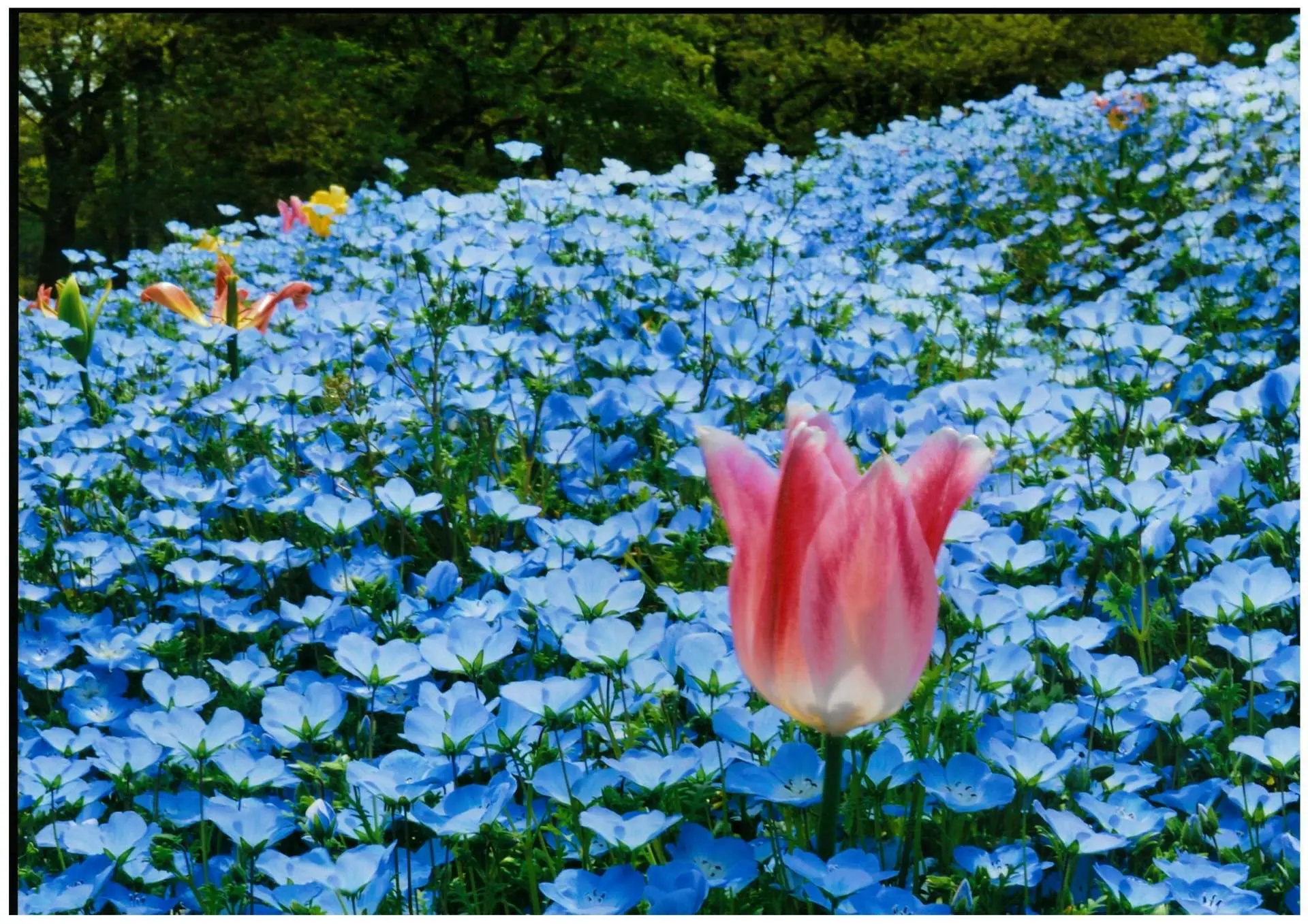 名城公園