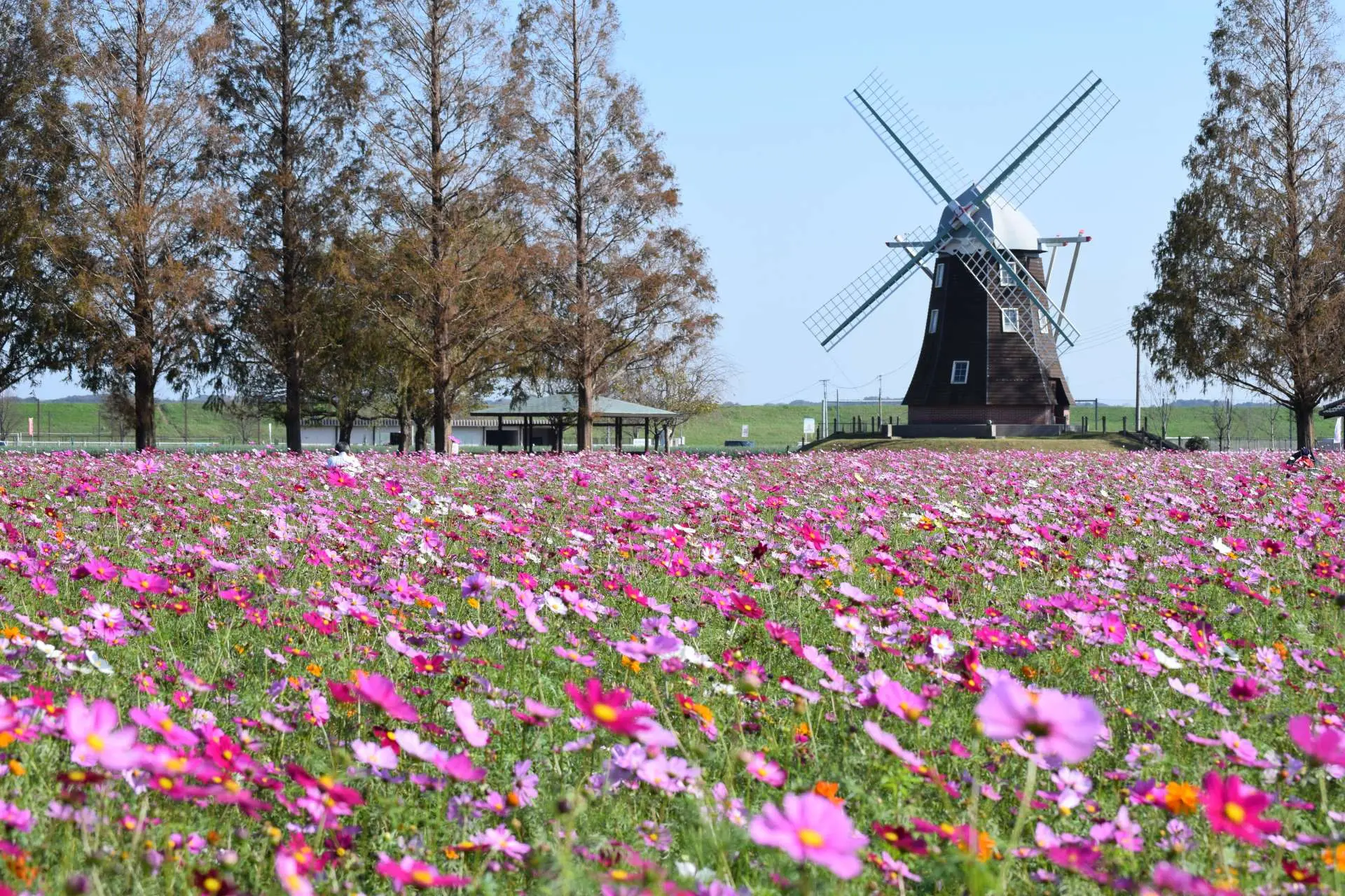 akebonoyama agriculture park