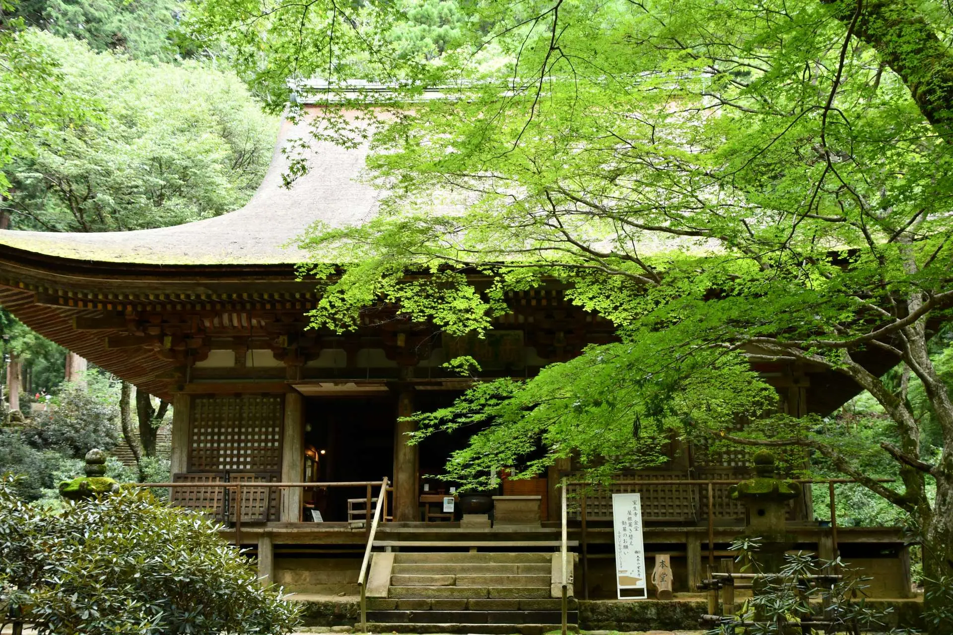 女人高野室生寺 女性とともに今に息づく女人高野 基本情報｜日本遺産ポータルサイト