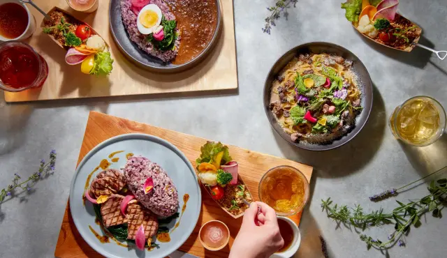 赏花之后推荐去被大自然环抱，能悠闲享用餐点的咖啡厅与餐厅休憩