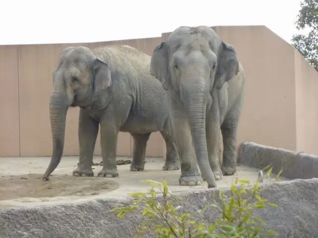 日立市神峰動物園