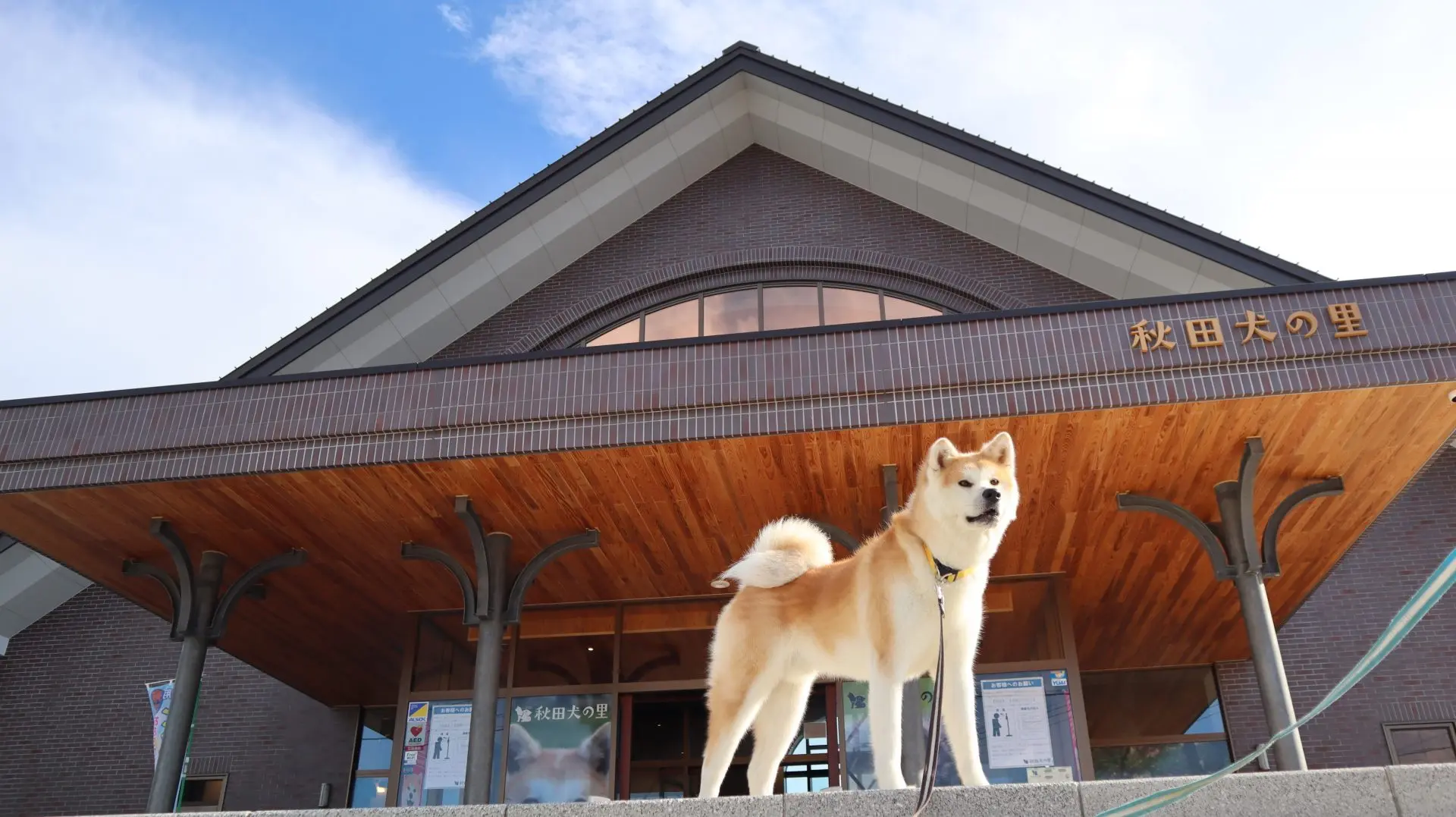 民芸品 大館ハチ公の里 秋田犬の里 - 見どころ、アクセス & 周辺情報 |