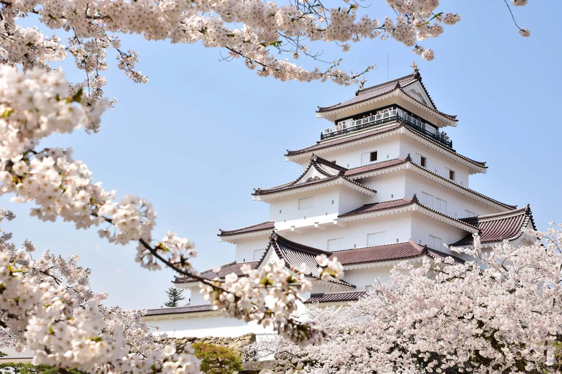 ◎● 美麗! 鶴ヶ城 会津若松城 福島県 高精細 プリント 写真 ○ 美麗! 鶴ヶ城 会津若松城 福島県 高精細 プリント 写真○