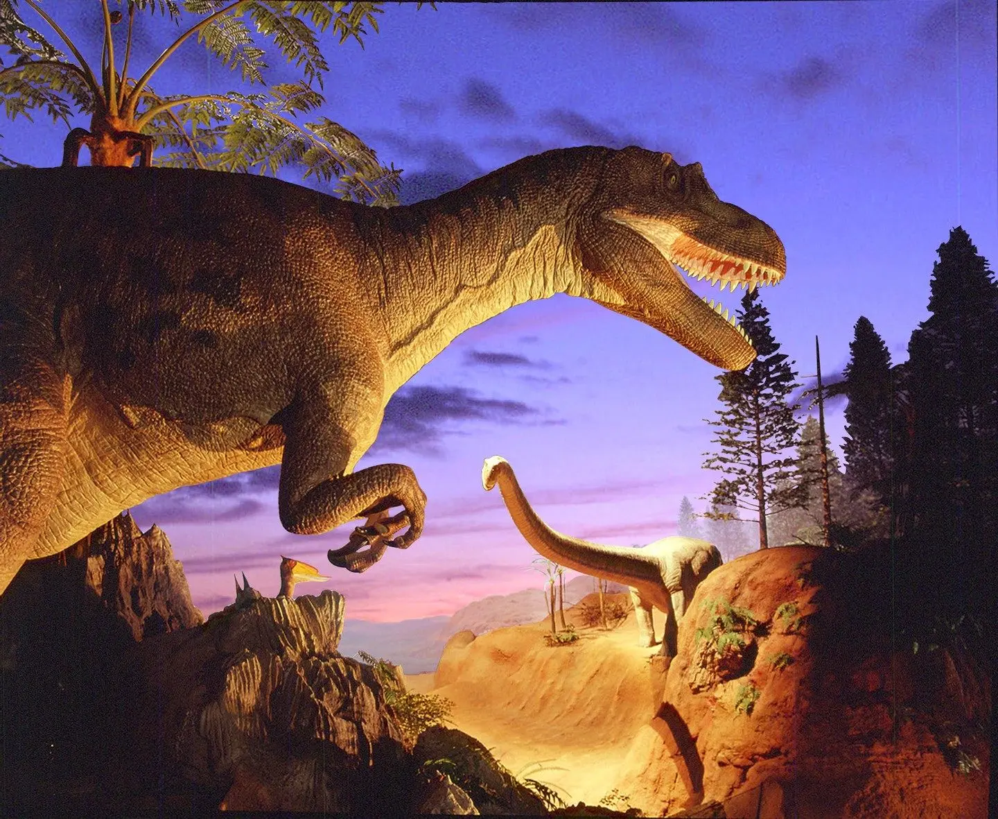 Kitakyushu Museum of Natural History & Human History - Must