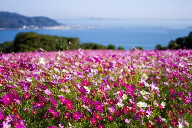 能古島海島公園