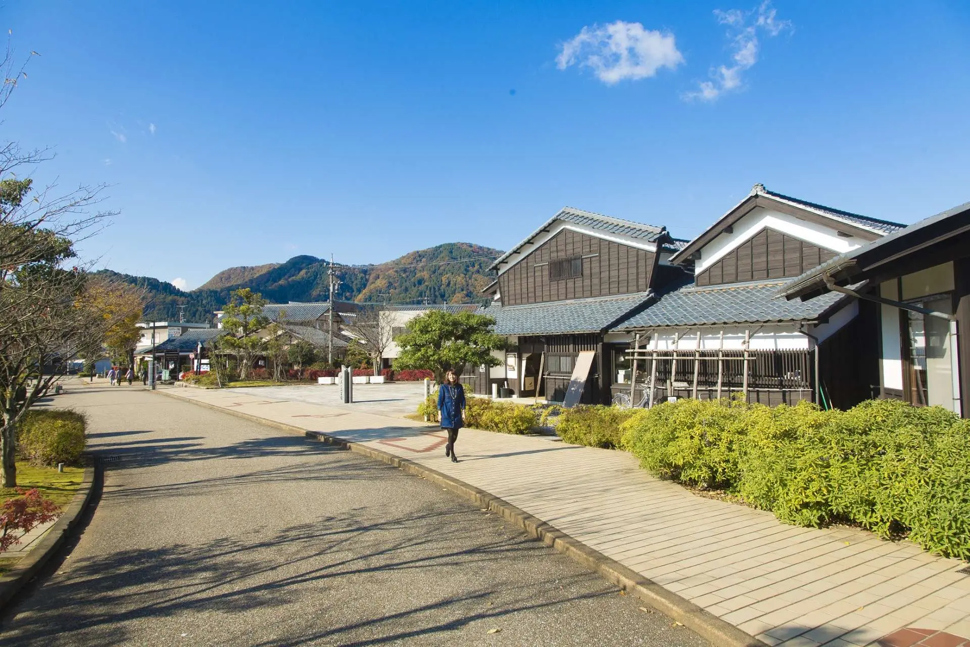 越前和紙の里 - 見どころ、アクセス、口コミ & 周辺情報