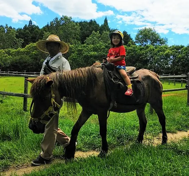 Mitsuse Le Vert Farm Dongurimura Village
