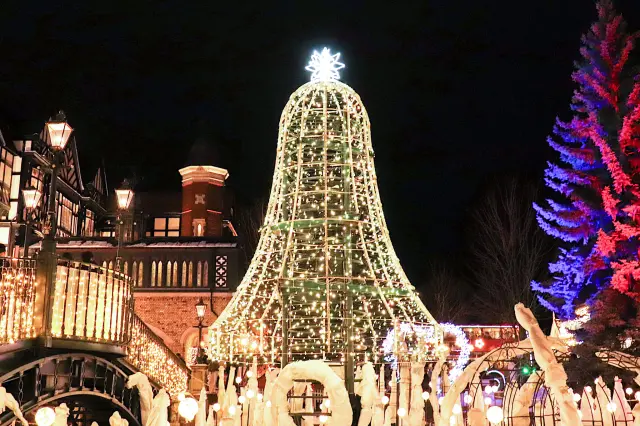 Enjoy a Dreamy Night at the Winter-Only Sweet Illumination