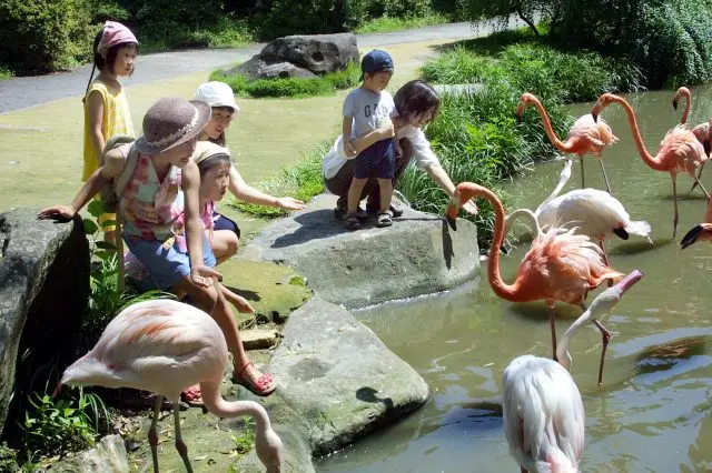 長崎BIO PARK