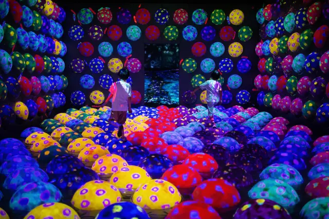 “teamLab Forest Fukuoka - SBI Securities” với các yếu tố sưu tầm thú vị©チームラボ