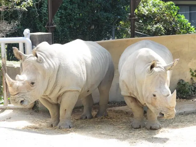 福岡市動植物園